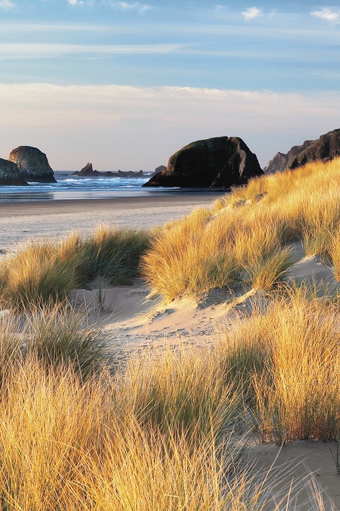 Wall Art Painting id:198714, Name: Dune Grass and Beach II, Artist: Frates, Dennis