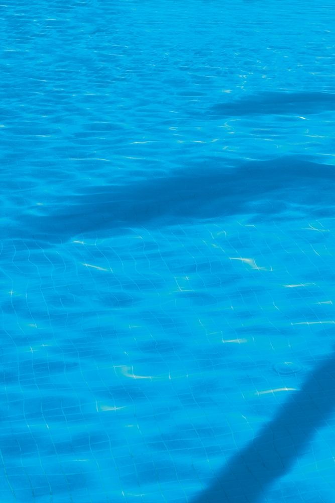 Art Print: Vacationing A