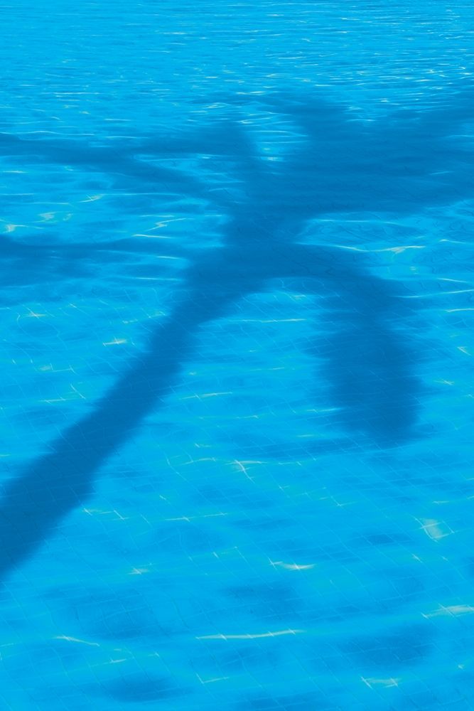 Art Print: Vacationing B