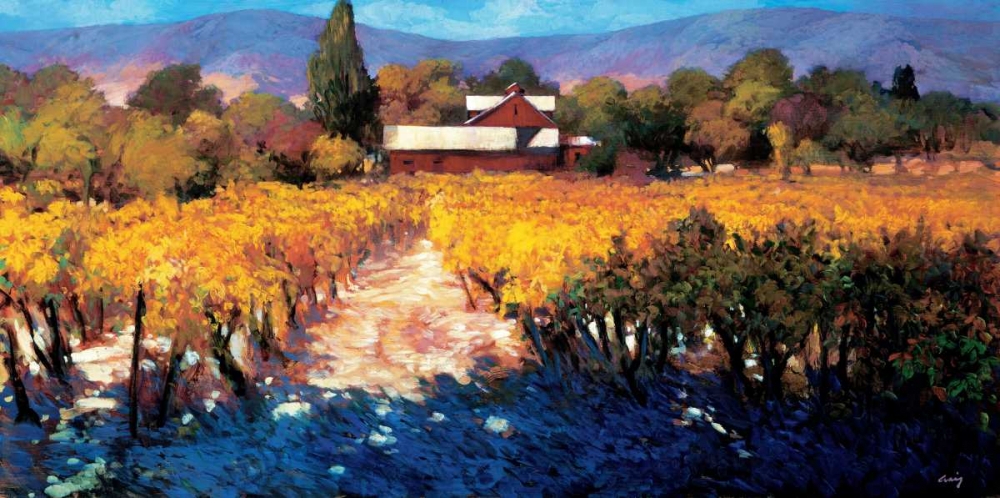 Wall Art Painting id:11993, Name: Vineyard Afternoon, Artist: Craig, Philip