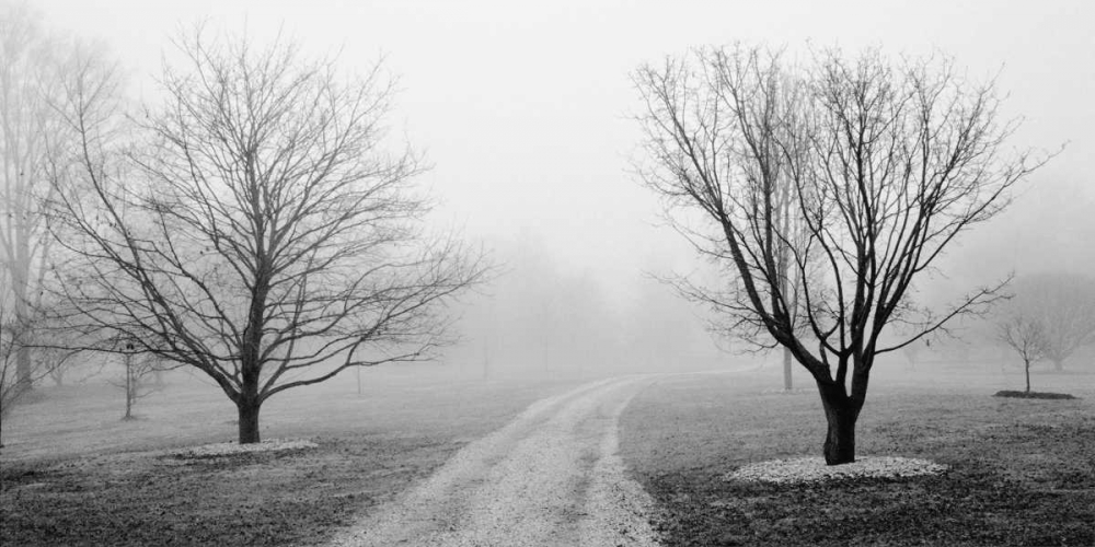 Wall Art Painting id:12497, Name: Road to Somewhere, Artist: Iacobellis, Michael