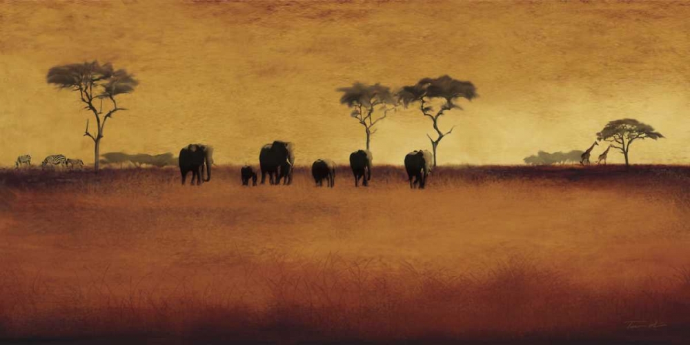 Wall Art Painting id:12499, Name: Serengeti II, Artist: Venter, Tandi