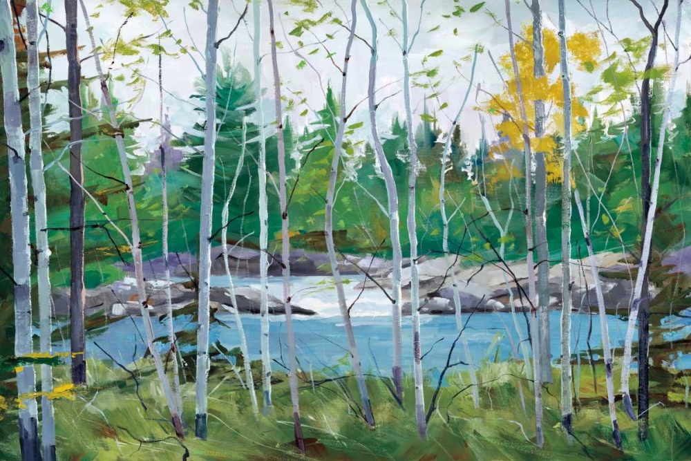 Art Print: Oxtounge Rapids