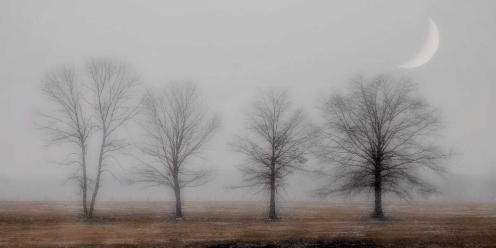 Art Print: Early December