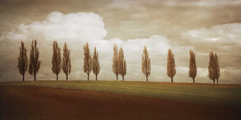 Art Print: Before the Valley