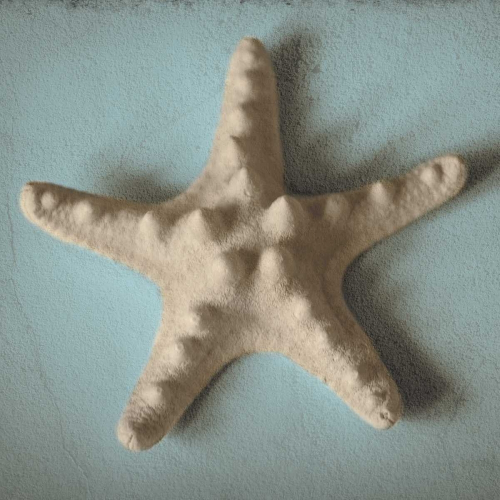 Art Print: Seashell Study III