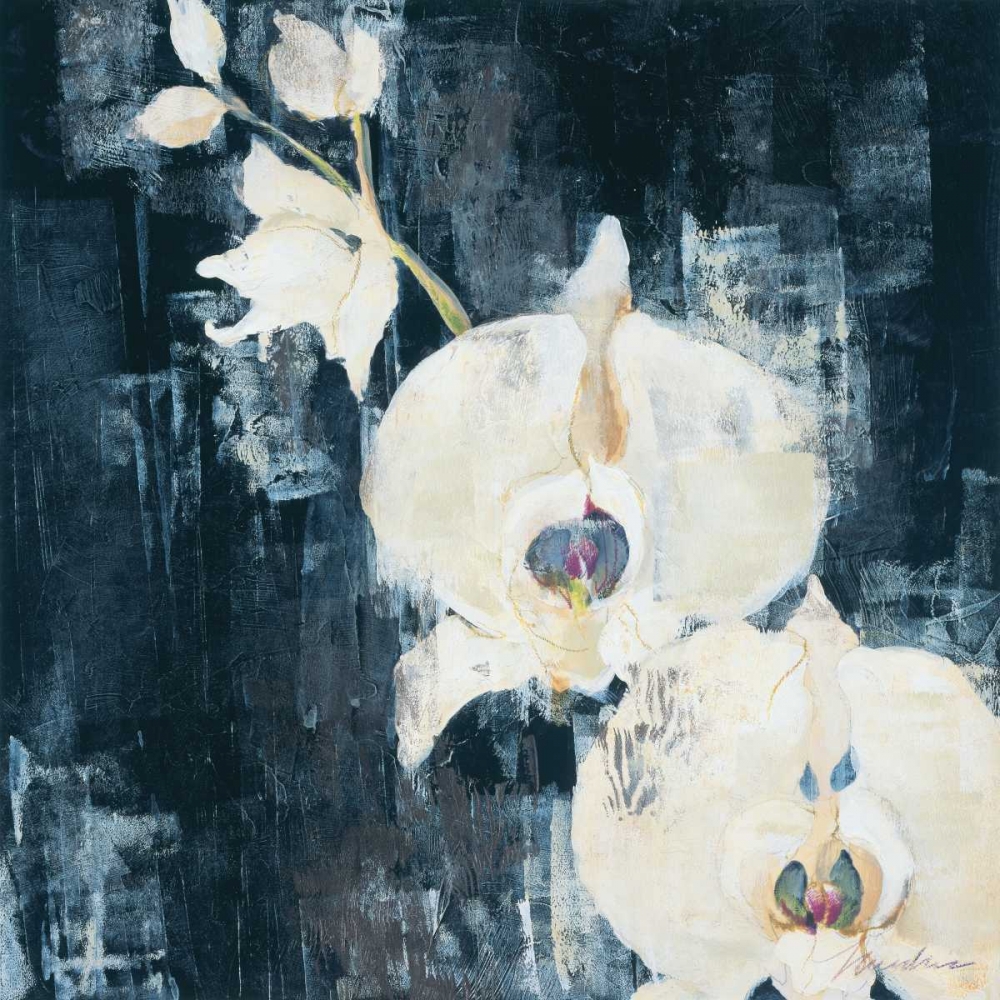 Wall Art Painting id:11859, Name: Shadow Orchids I, Artist: Jardine, Liz