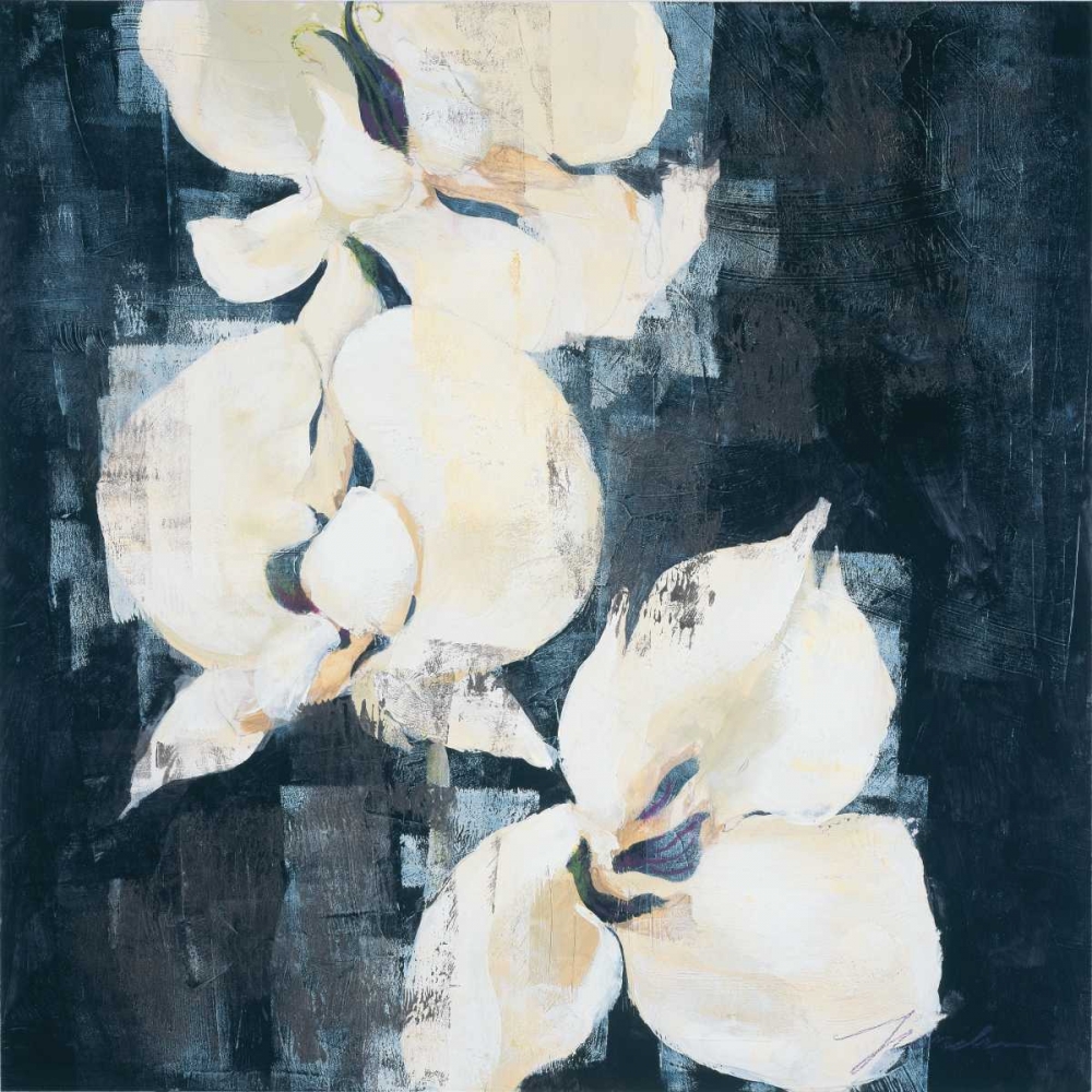 Wall Art Painting id:11860, Name: Shadow Orchids II, Artist: Jardine, Liz
