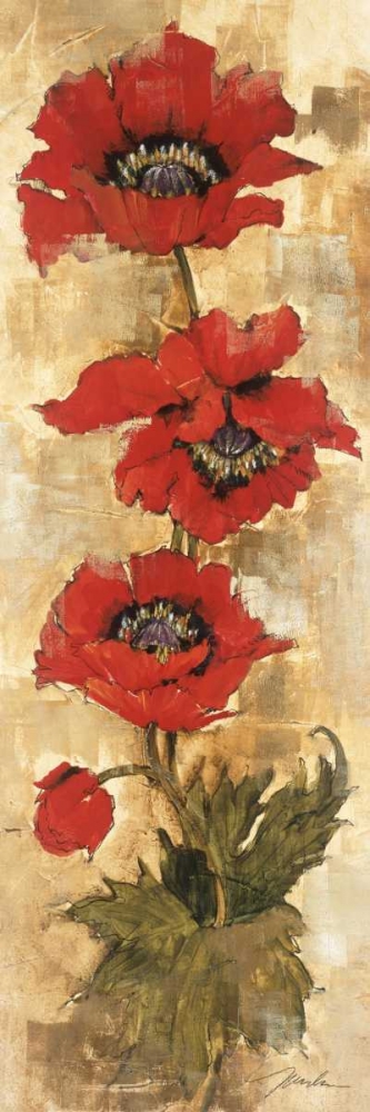 Wall Art Painting id:11871, Name: Strand of Poppies II, Artist: Jardine, Liz