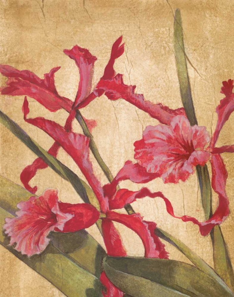 Wall Art Painting id:11461, Name: Hawaiian Tropics I, Artist: Jardine, Liz