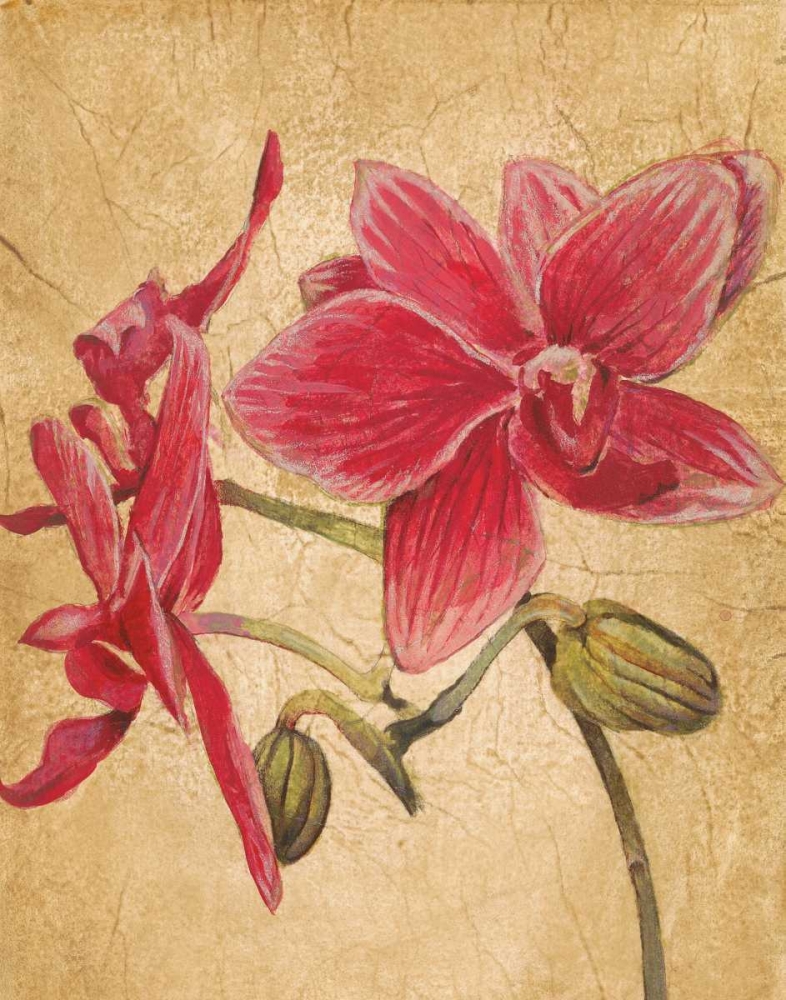 Wall Art Painting id:11462, Name: HawaiianTropics II, Artist: Jardine, Liz