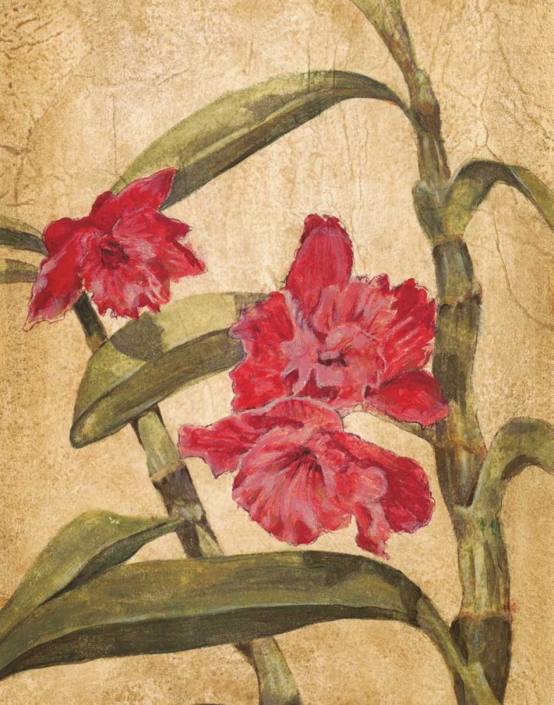 Wall Art Painting id:11463, Name: Hawaiian Tropics III, Artist: Jardine, Liz