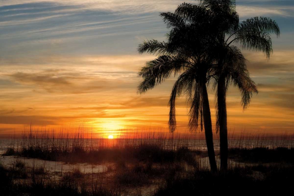 Art Print: Ana Maria Sunset