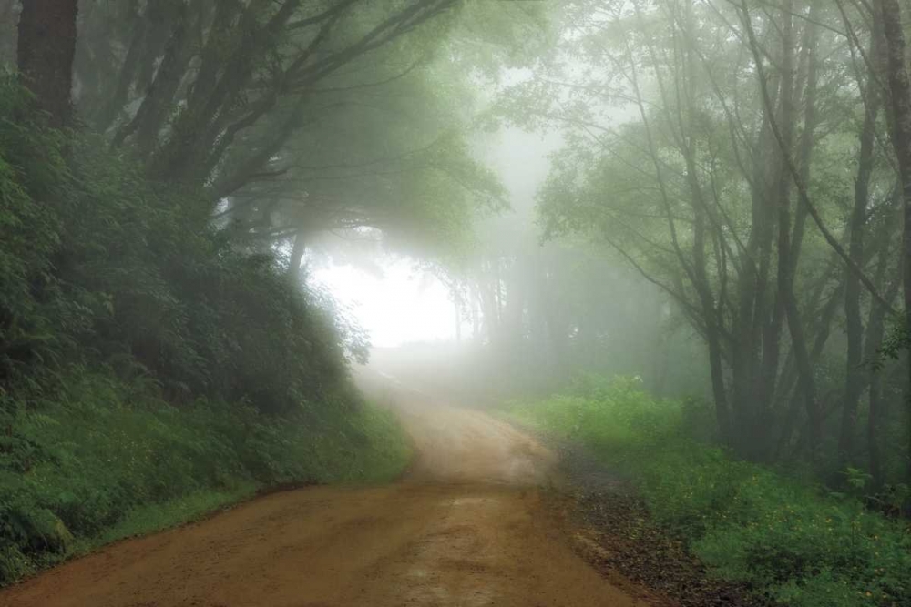 Art Print: Road to Nowhere