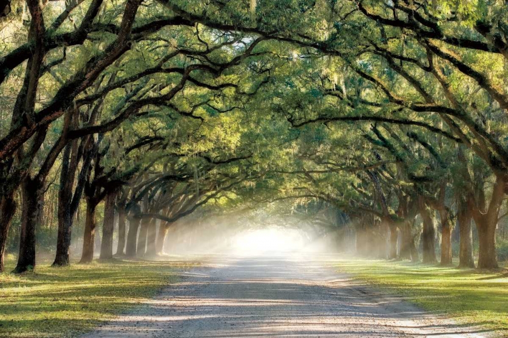 Art Print: Hope and Glory