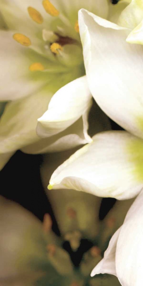 Similar wall art painting: 12701