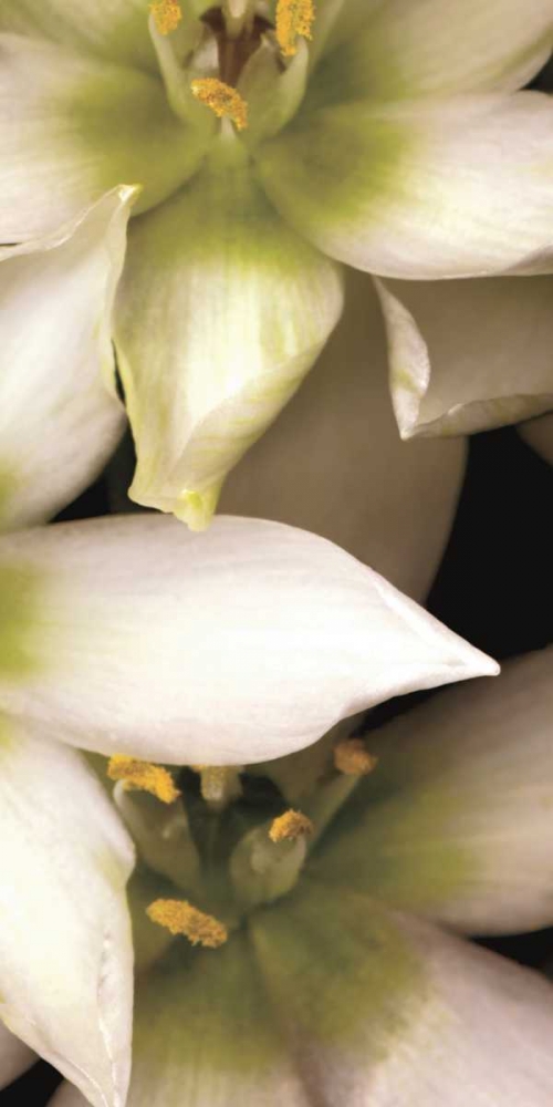 Similar wall art painting: 12372