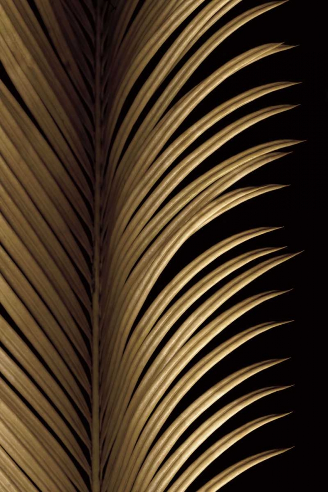 Similar wall art painting: 12373