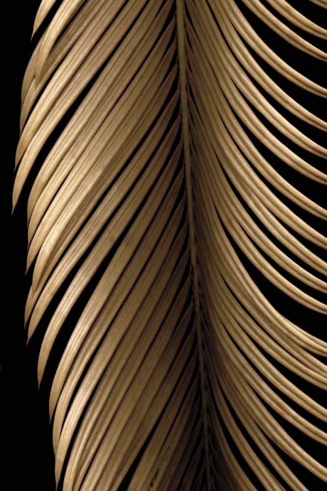 Similar wall art painting: 12374