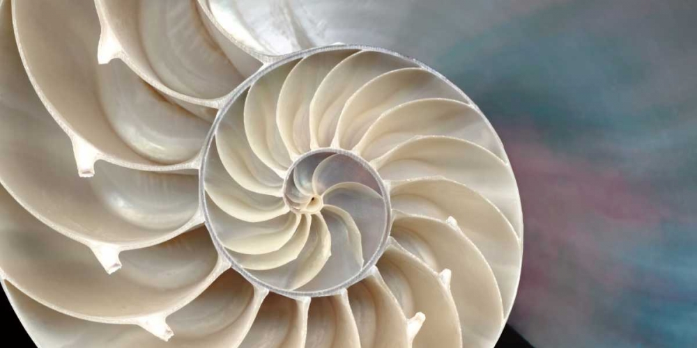 Similar wall art painting: 59942