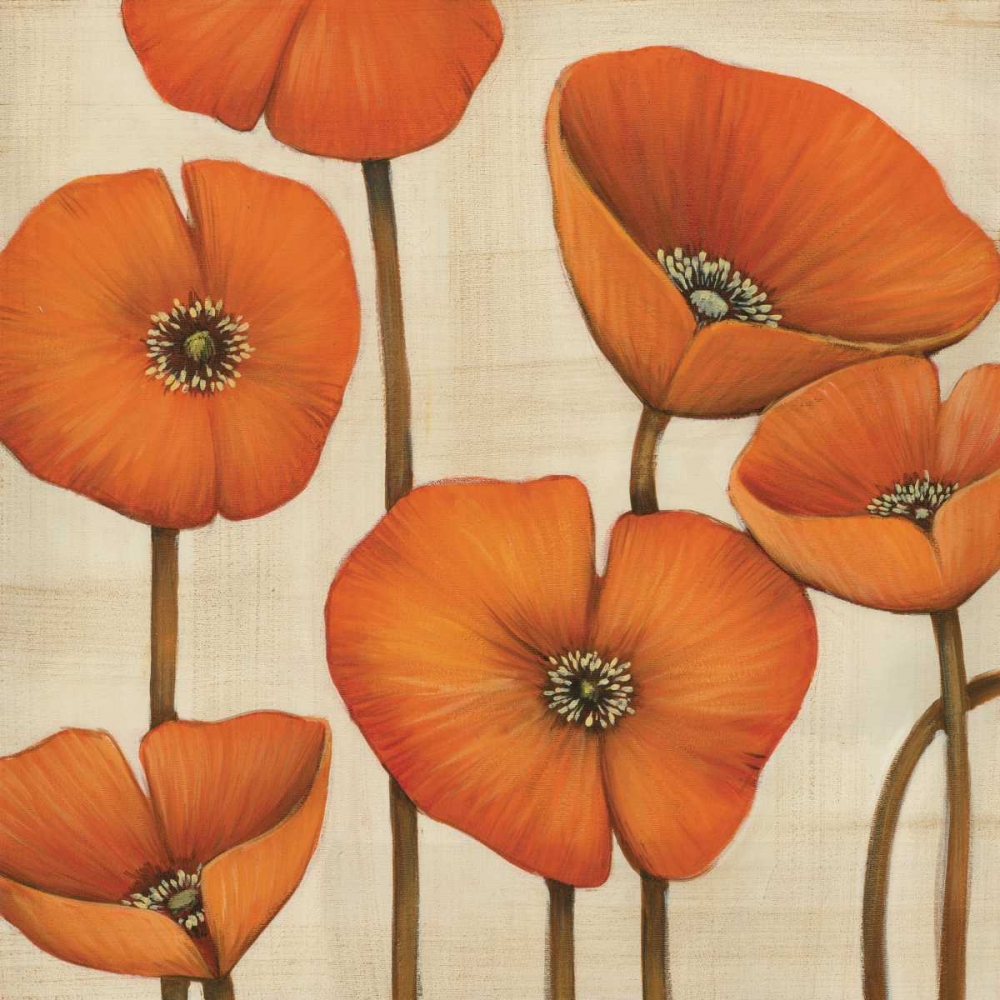 Wall Art Painting id:11487, Name: Bouquet Orange, Artist: MAJA