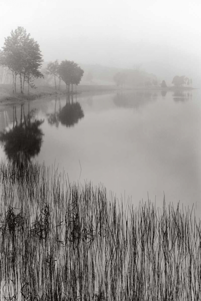 Art Print: Lakeside Mist