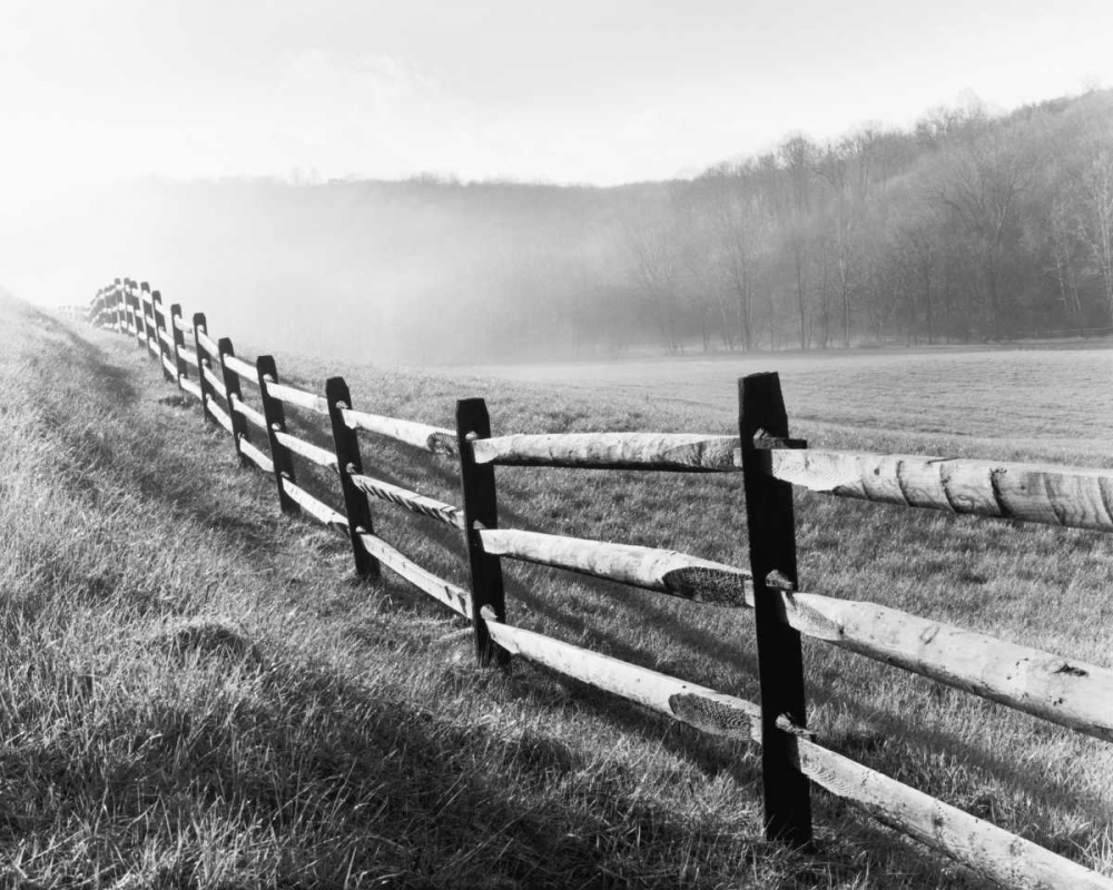 Art Print: Vanishing Fence