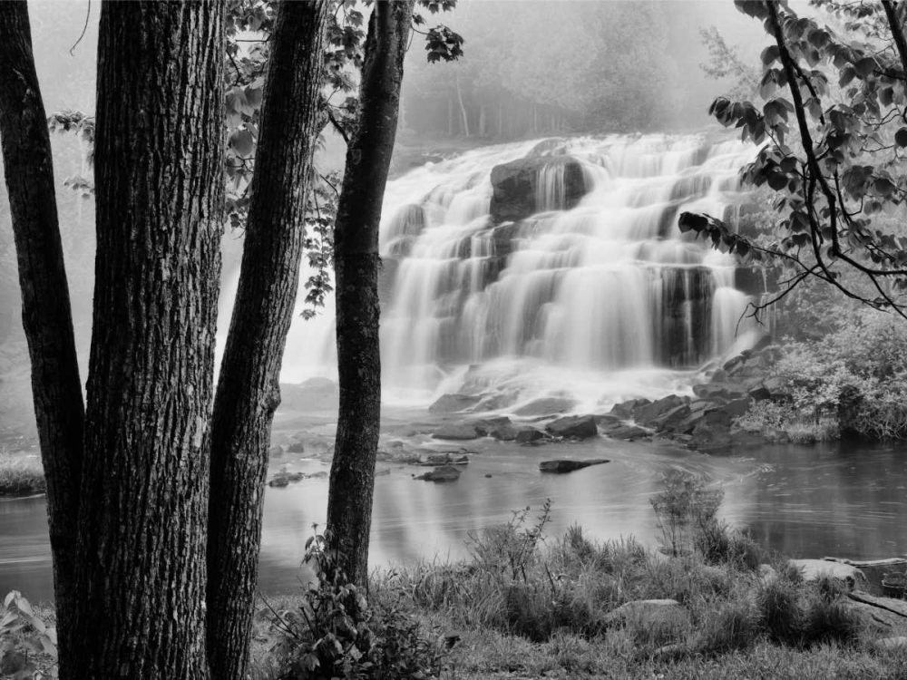 Art Print: Bond Falls and Trees