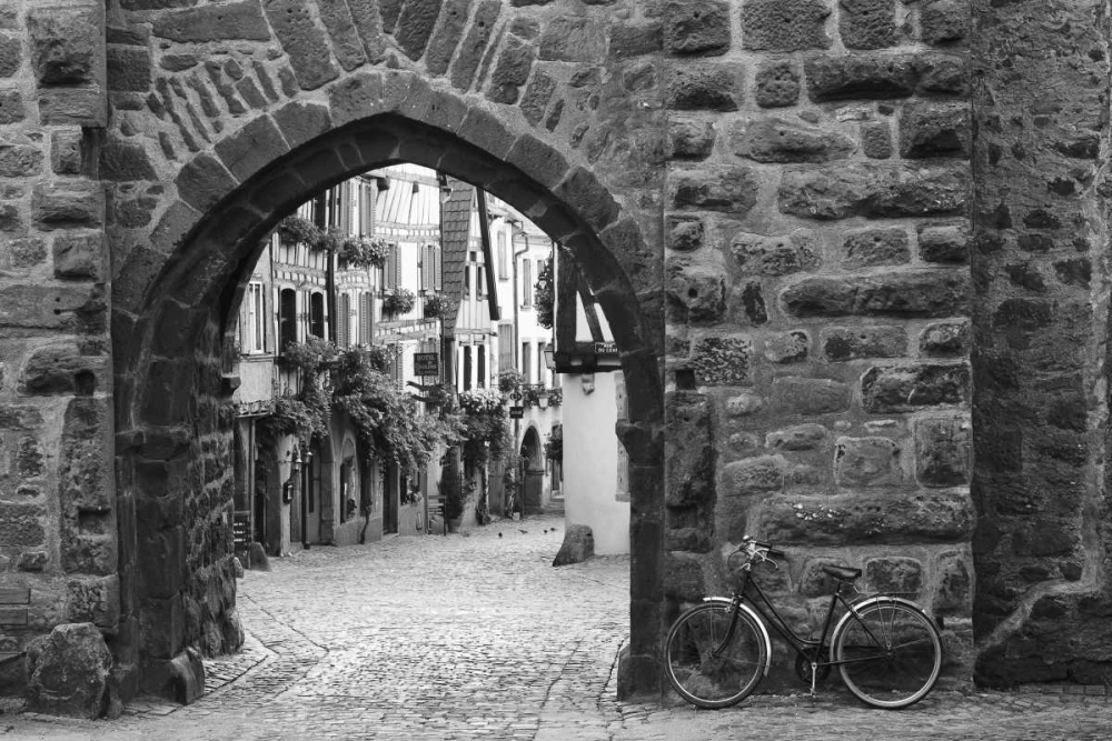 Art Print: Bicycle of Riquewihr