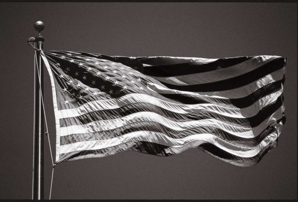 Wall Art Painting id:12182, Name: Americana, Artist: OMara, James