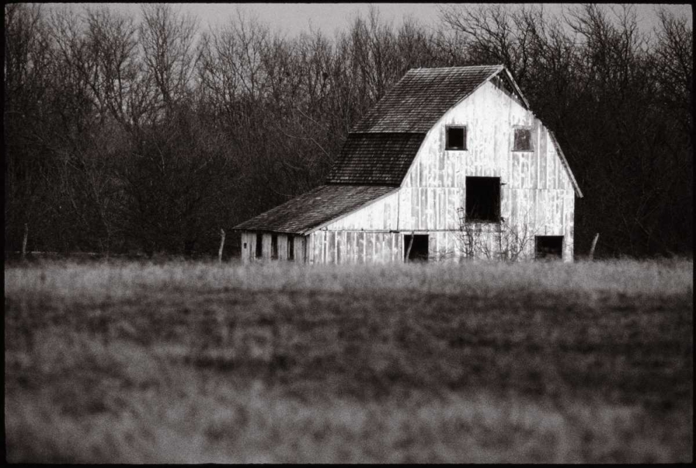 Wall Art Painting id:11520, Name: Americana, Artist: OMara, James