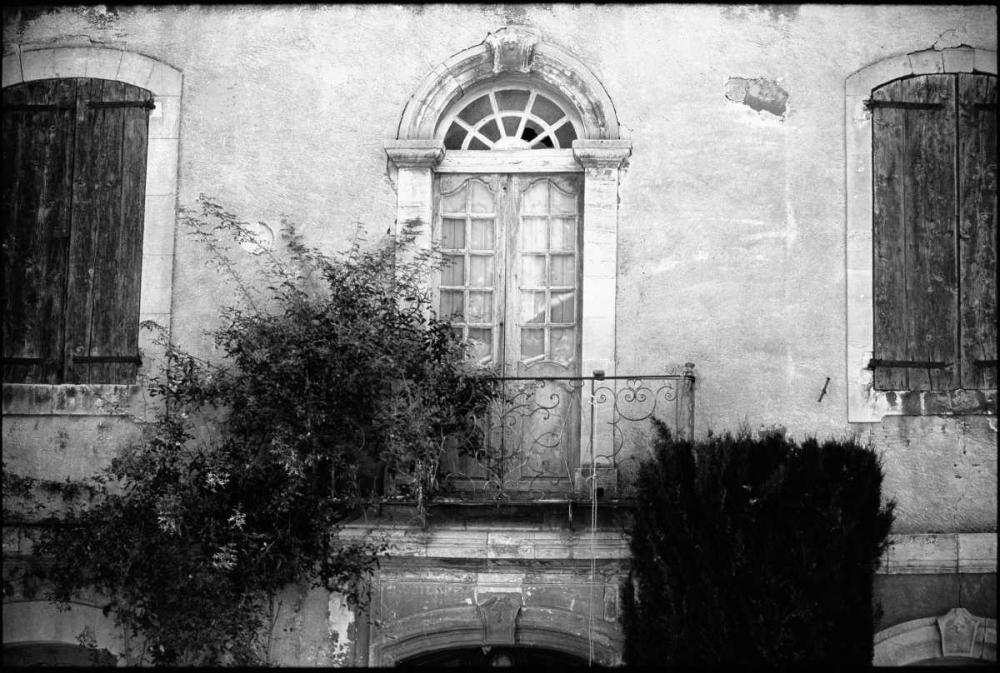 Wall Art Painting id:11523, Name: Provence, Artist: OMara, James