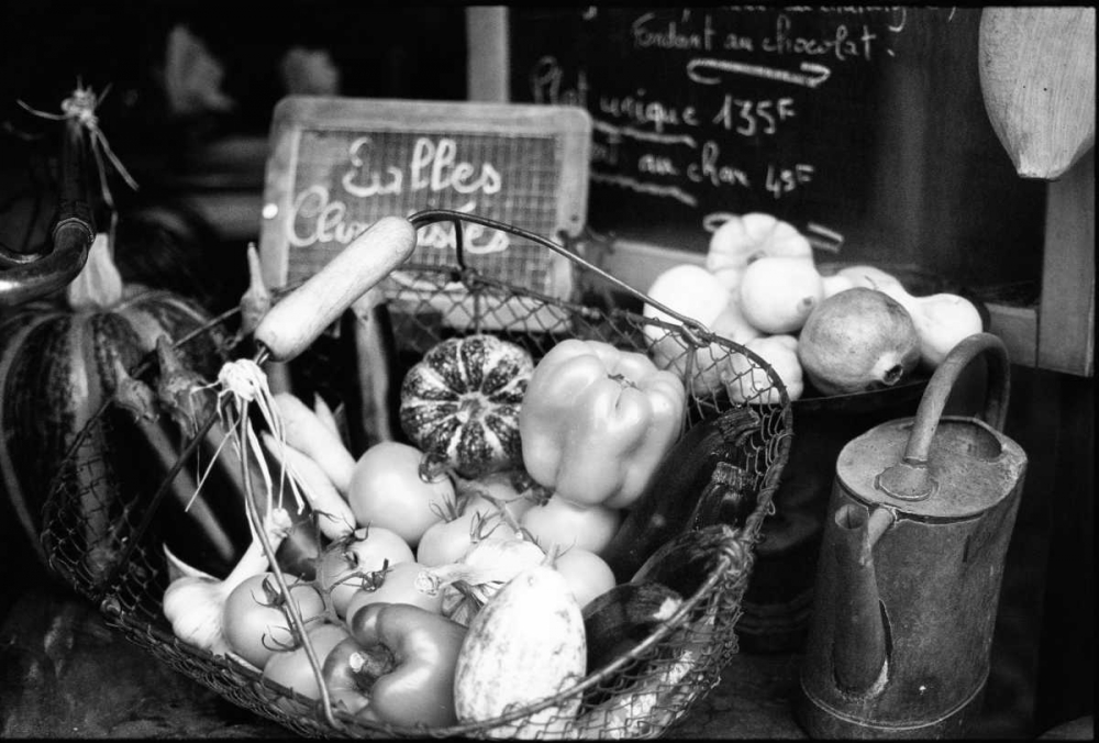 Wall Art Painting id:11525, Name: Provence, Artist: OMara, James