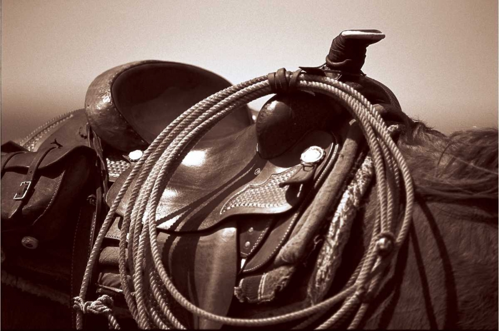 Wall Art Painting id:11888, Name: Saddling, Artist: OMara, James