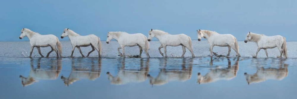 Similar wall art painting: 36845