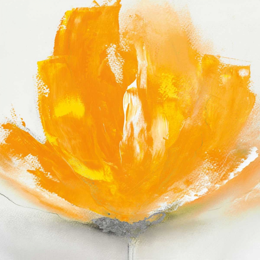 Wall Art Painting id:59979, Name: Wild Orange Sherbet I, Artist: Prior, J.P.