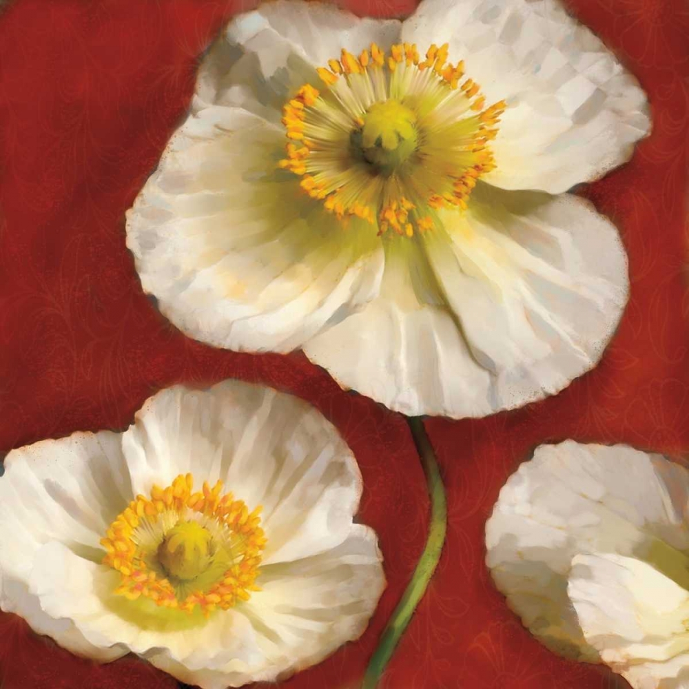 Wall Art Painting id:11903, Name: Poppy Elegance II, Artist: Pahl, Janel