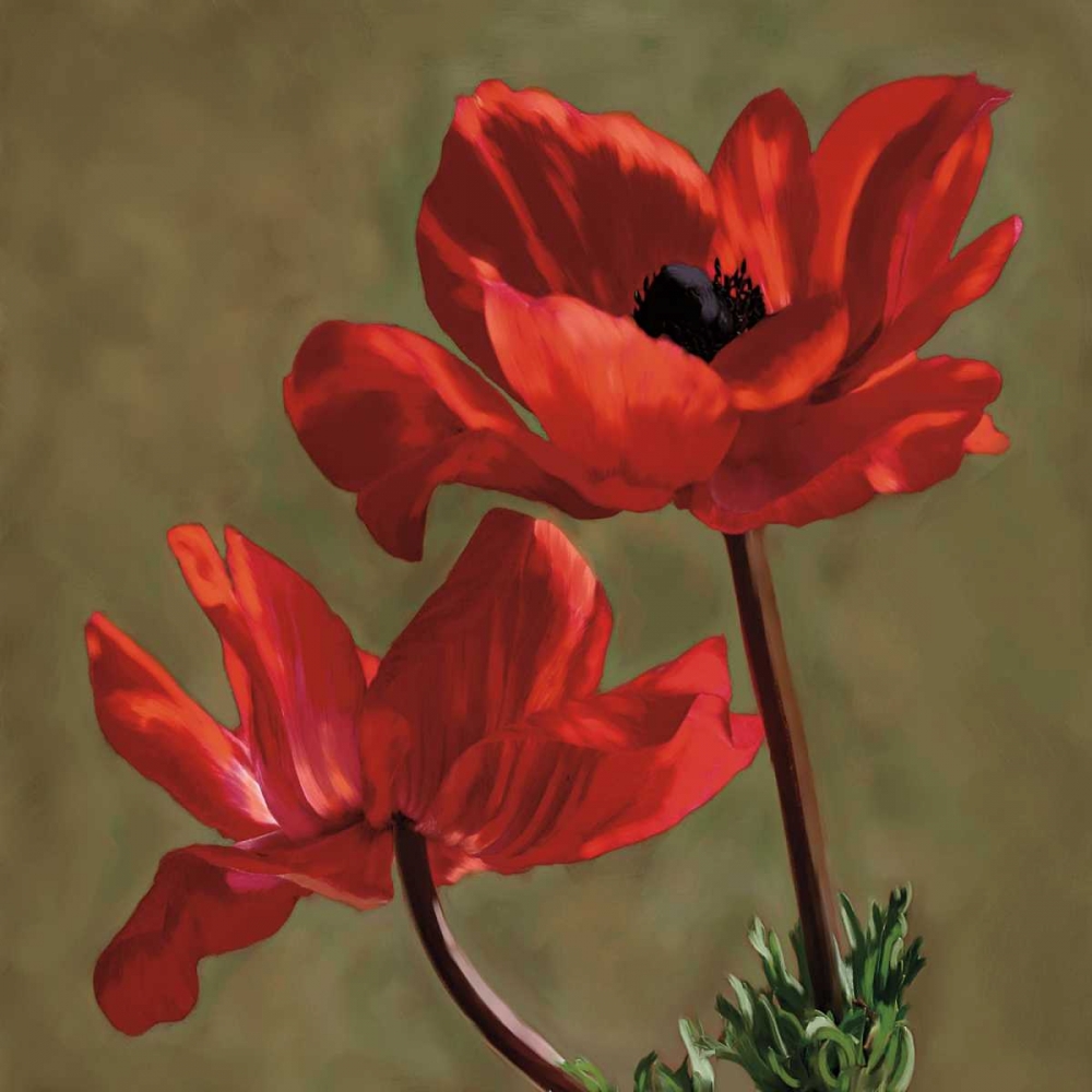 Wall Art Painting id:12185, Name: Brilliance I, Artist: Pahl, Janel