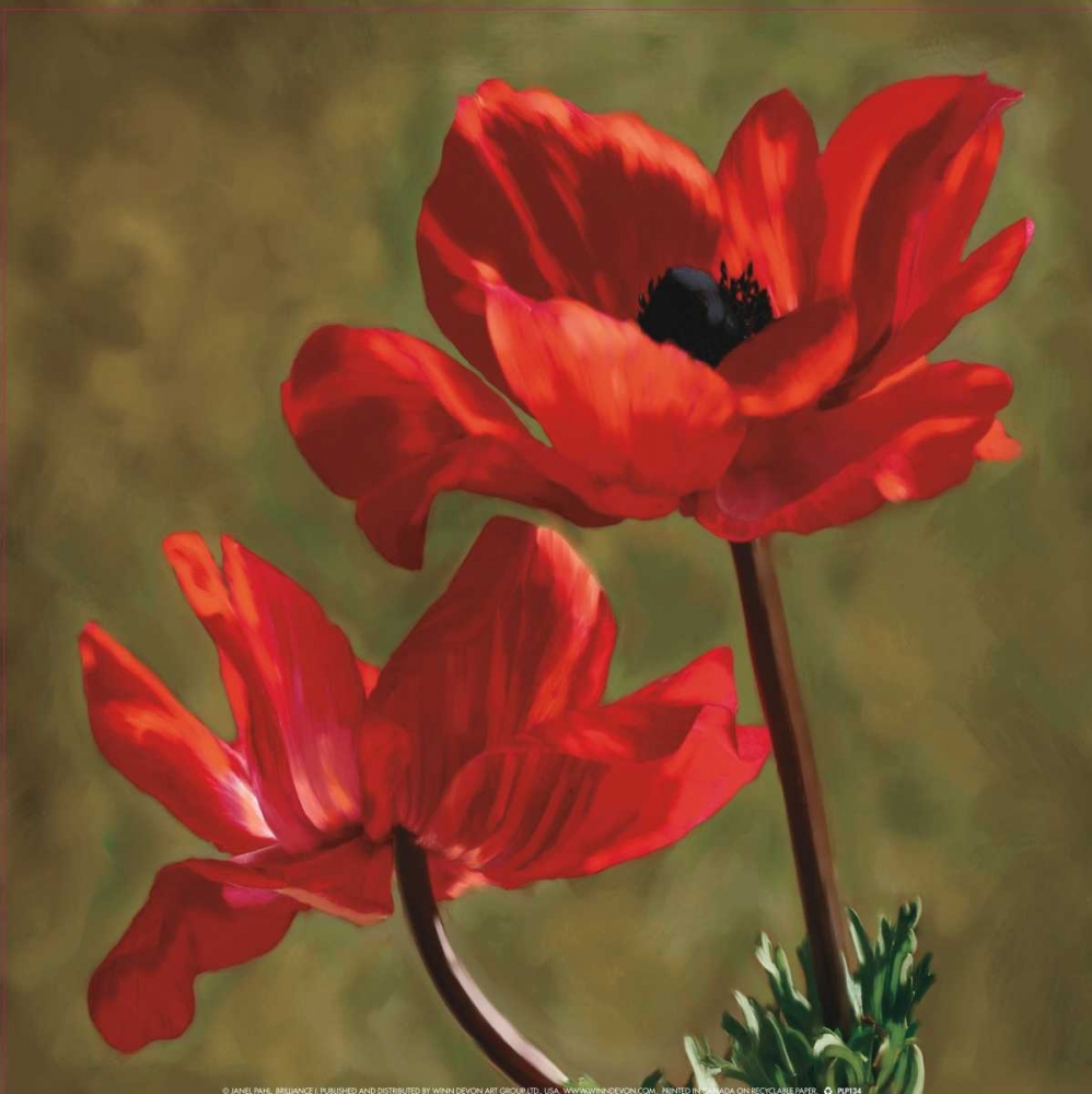 Wall Art Painting id:12186, Name: Brilliance I, Artist: Pahl, Janel