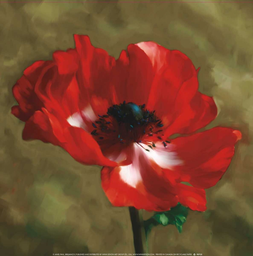 Wall Art Painting id:12187, Name: Brilliance II, Artist: Pahl, Janel