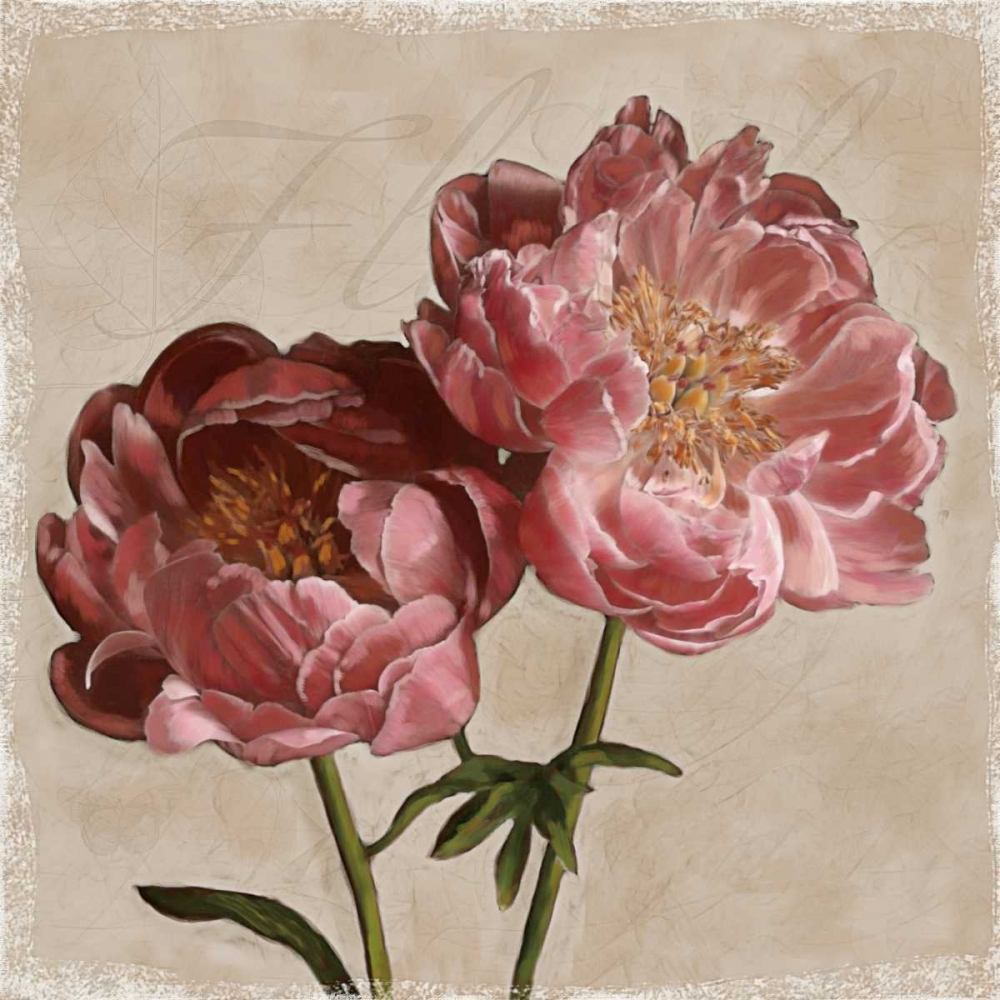 Wall Art Painting id:11365, Name: Peony II, Artist: Pahl, Janel