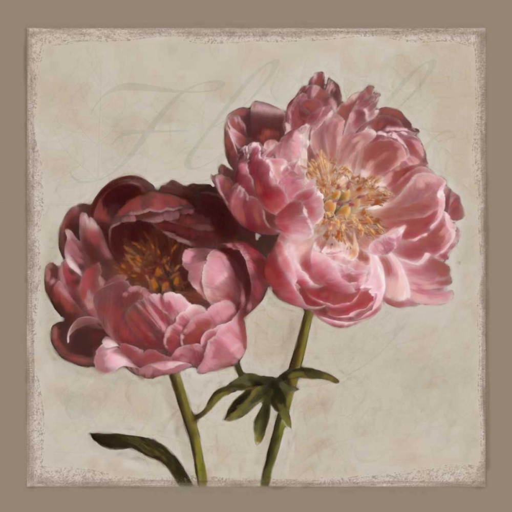 Wall Art Painting id:12868, Name: Botanical Peony, Artist: Pahl, Janel