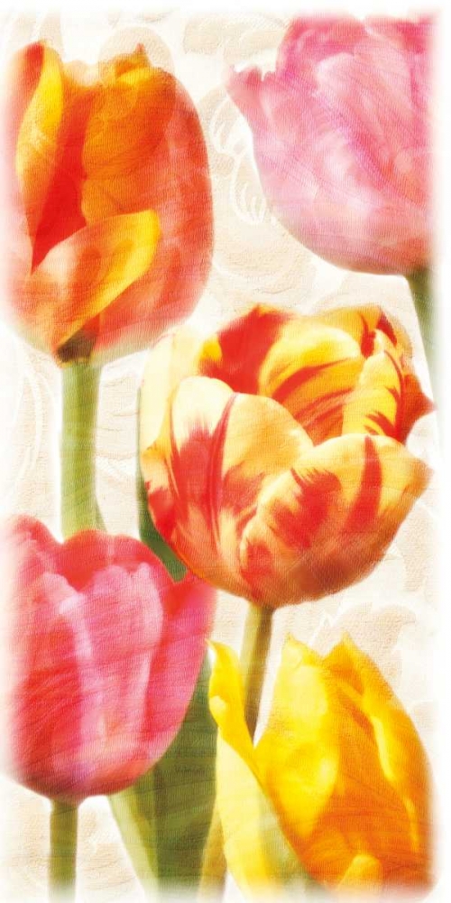Wall art: Glowing Tulips II, by Pahl, Janel