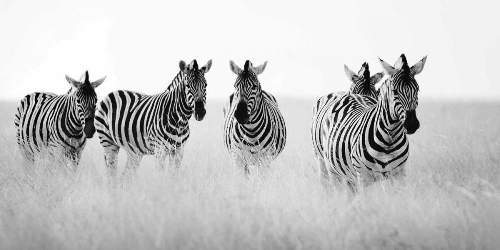 Art Print: Meeting Place