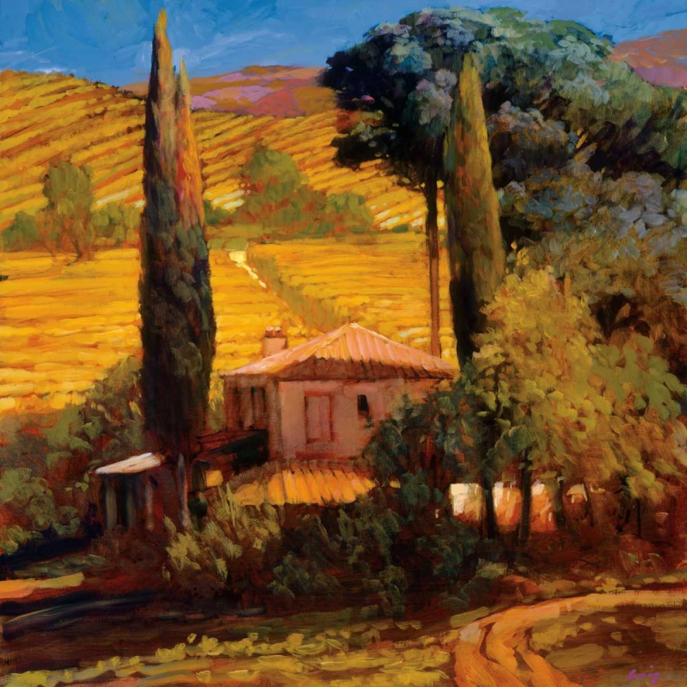 Wall art: Tuscan Morning Light, by Craig, Philip
