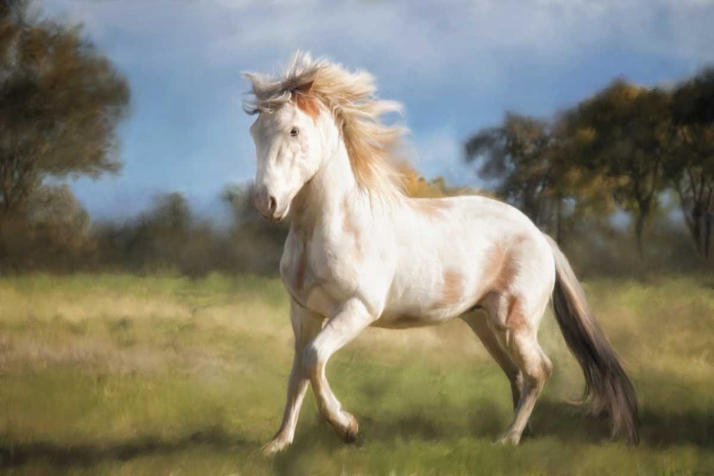 Art Print: Liberty Dance