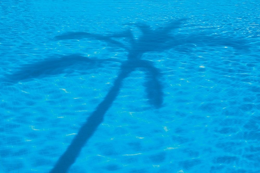 Wall Art Painting id:198846, Name: Vacationing I, Artist: Frates, Dennis