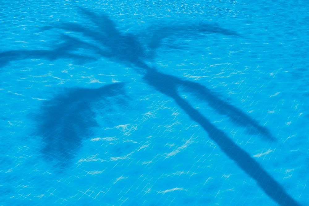 Wall Art Painting id:198847, Name: Vacationing II, Artist: Frates, Dennis