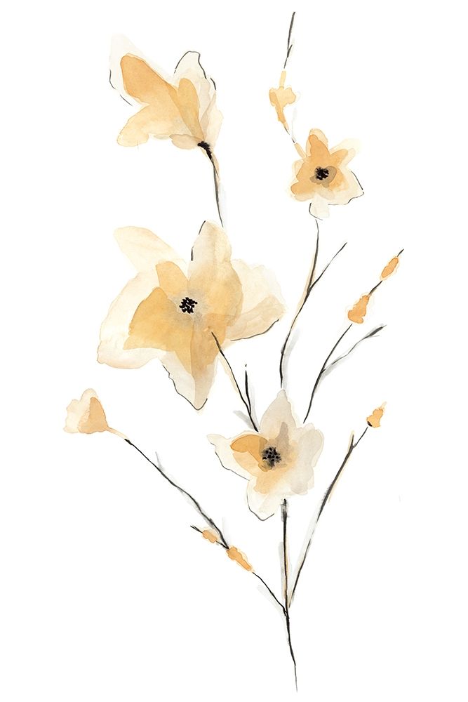 Wall Art Painting id:204222, Name: Morning Glory II, Artist: Golden, Corrie
