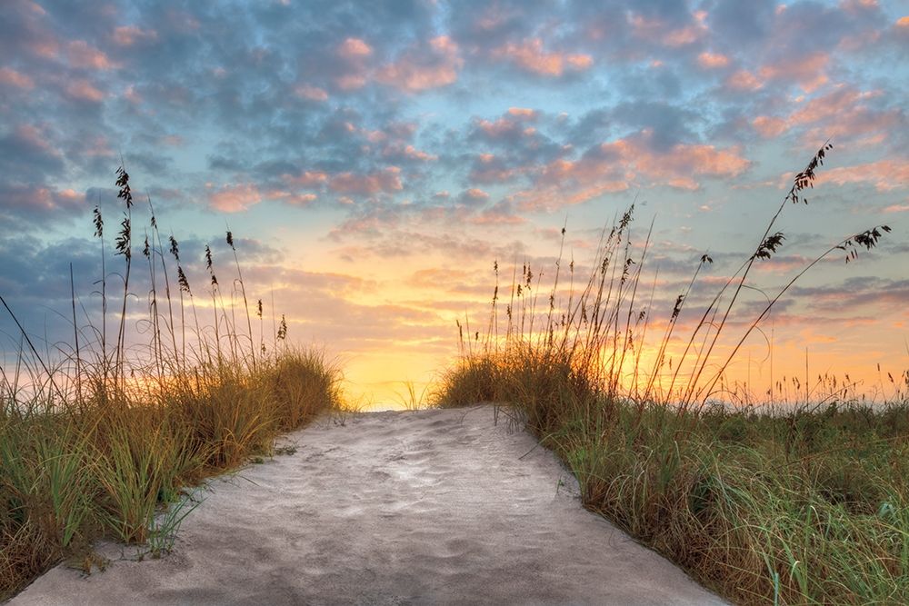 Art Print: Over The Top